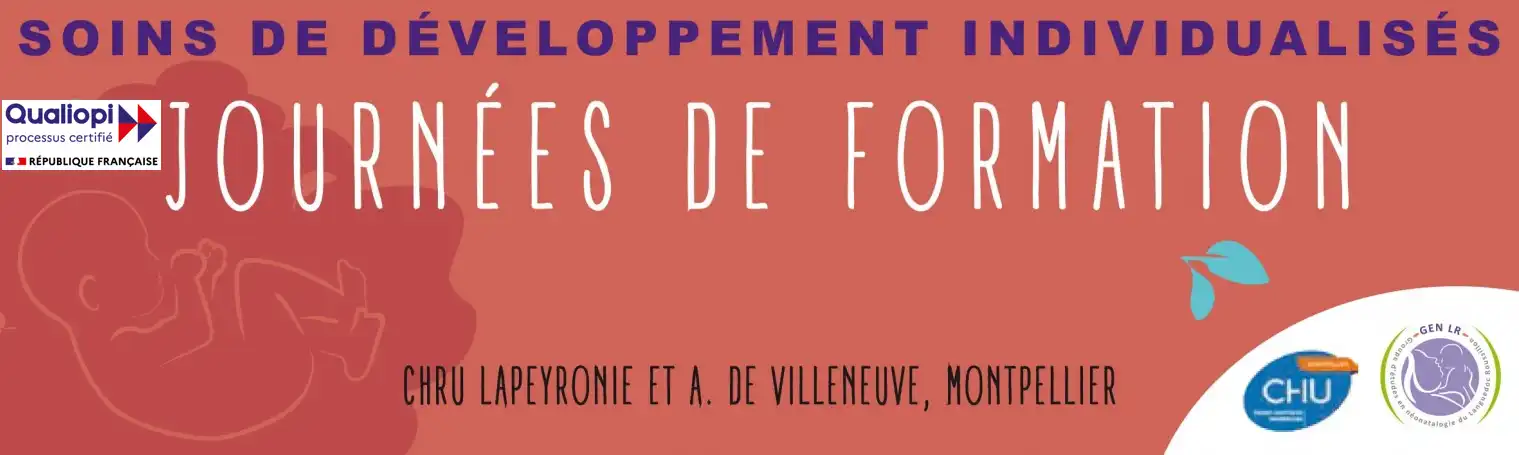 Bandeau présentation formation Soins de Développement Individualisé SDI